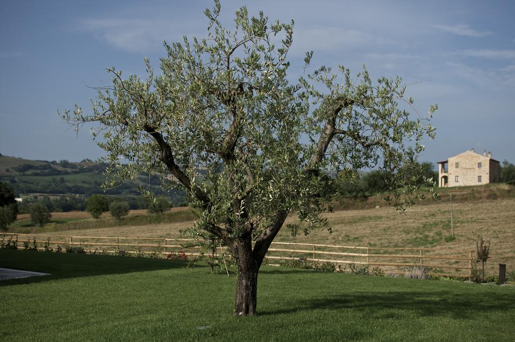 Moresco Agriturismo Extérieur photo